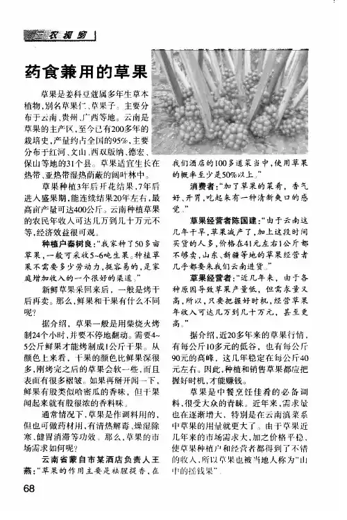 药食兼用的草果