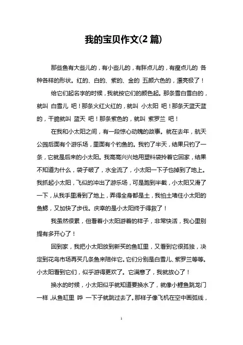 我的宝贝作文(2篇)