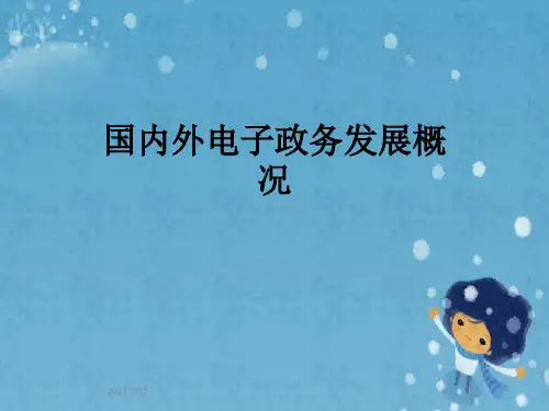 国内外电子政务发展概况