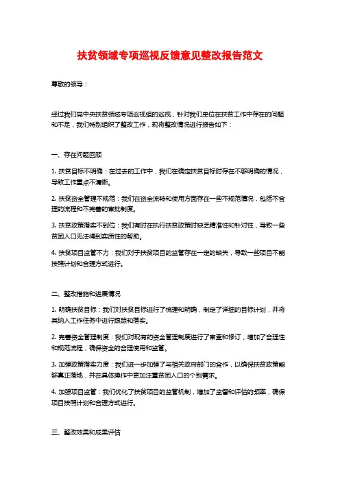 扶贫领域专项巡视反馈意见整改报告范文 (2)