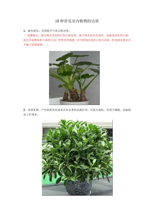 18种常见植物的功效作用