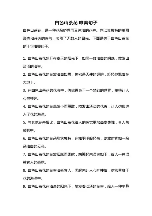 白色山茶花 唯美句子