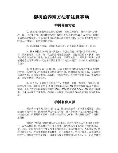 柳树的养殖方法和注意事项