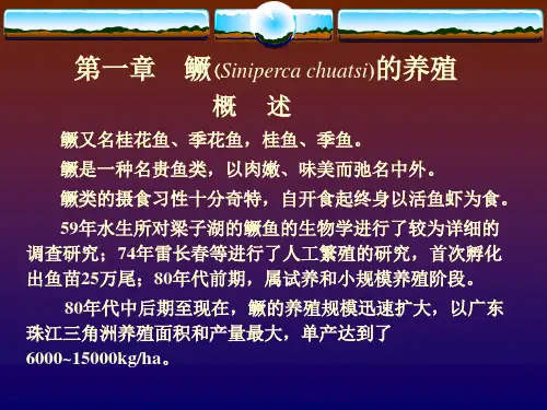【2019年整理】桂鱼季花鱼鳜鱼养殖技术全面版