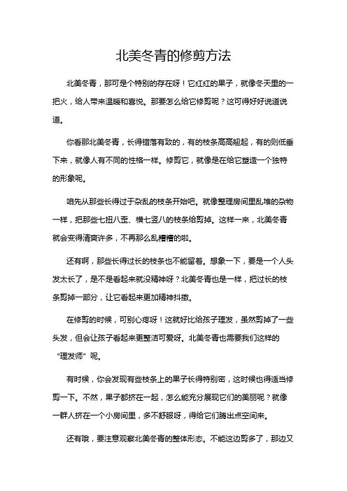 北美冬青的修剪方法