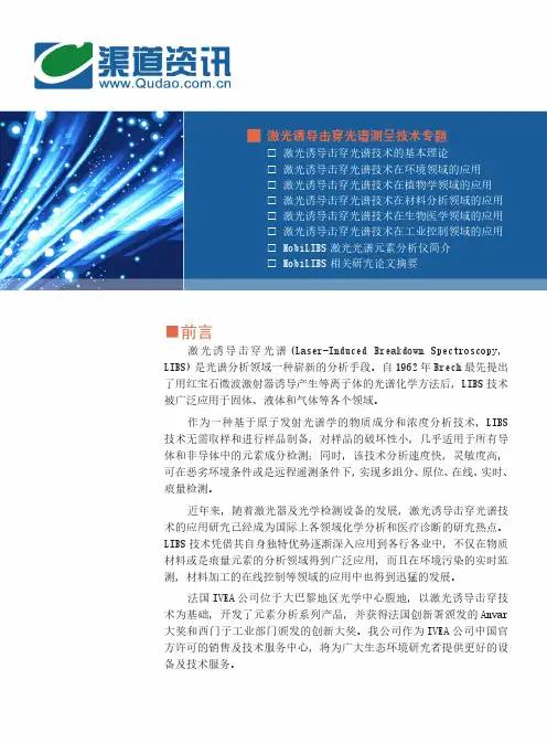 激光诱导击穿光谱测量技术专题