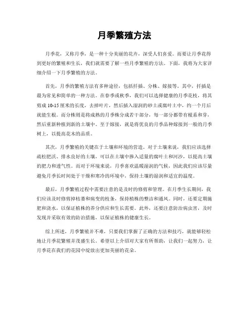 月季繁殖方法
