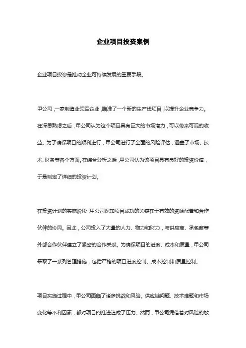企业项目投资案例
