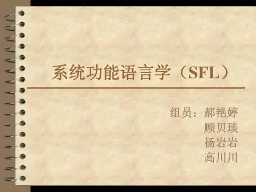 系统功能语法汉语歧义