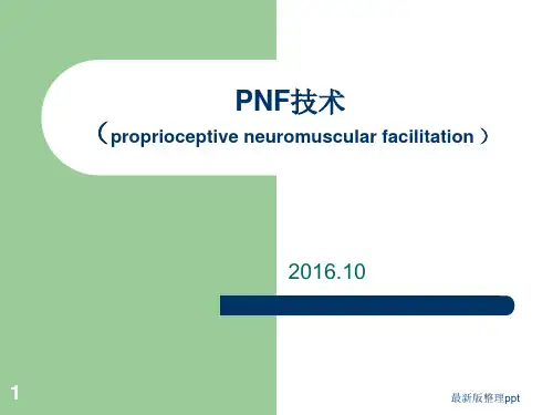 PNF的概述ppt课件
