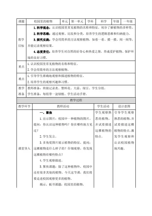教科版(2024)一年级科学上册第一单元《6.校园里的植物》精品教案