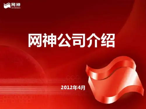 网神公司介绍