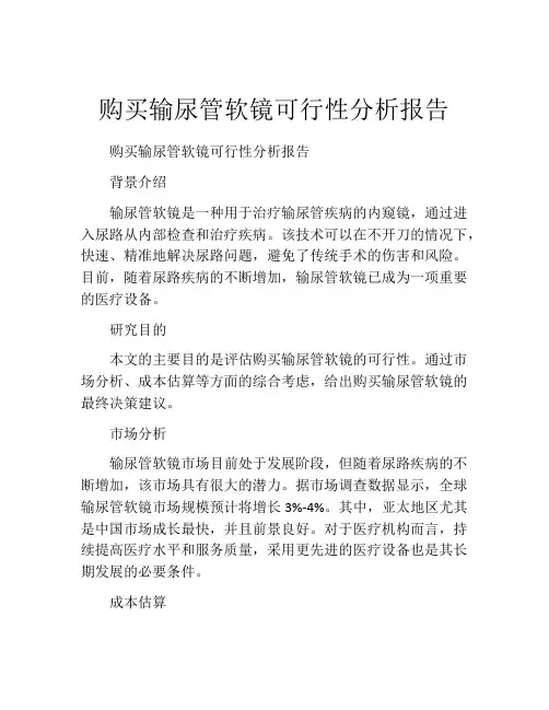 购买输尿管软镜可行性分析报告