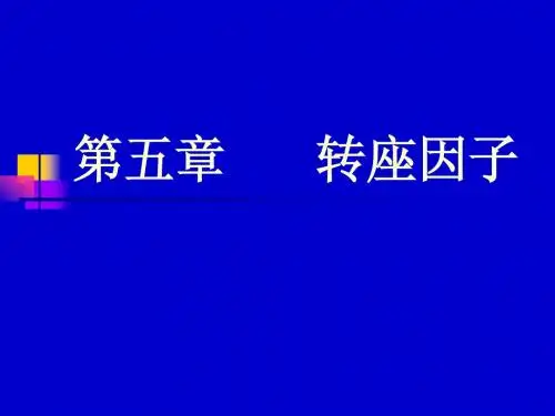 转座因子1