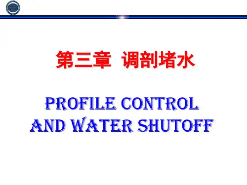 提高原油采收率原理(EOR)第三章-B