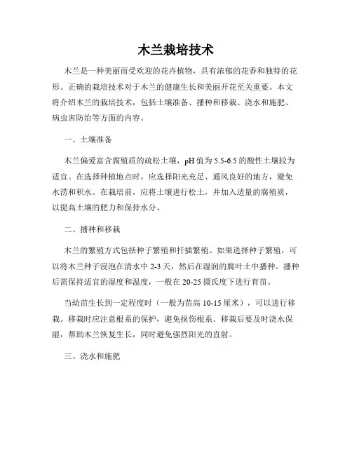 木兰栽培技术