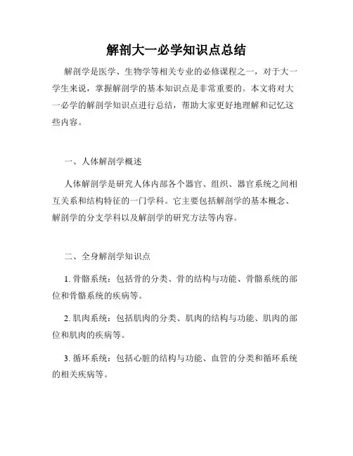 解剖大一必学知识点总结