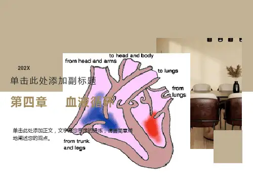 循环系统第一节心脏泵血功能