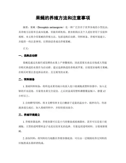果蝇的养殖方法和注意事项