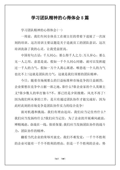 学习团队精神的心得体会5篇