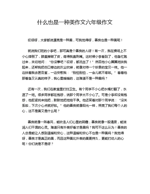 什么也是一种美作文六年级作文