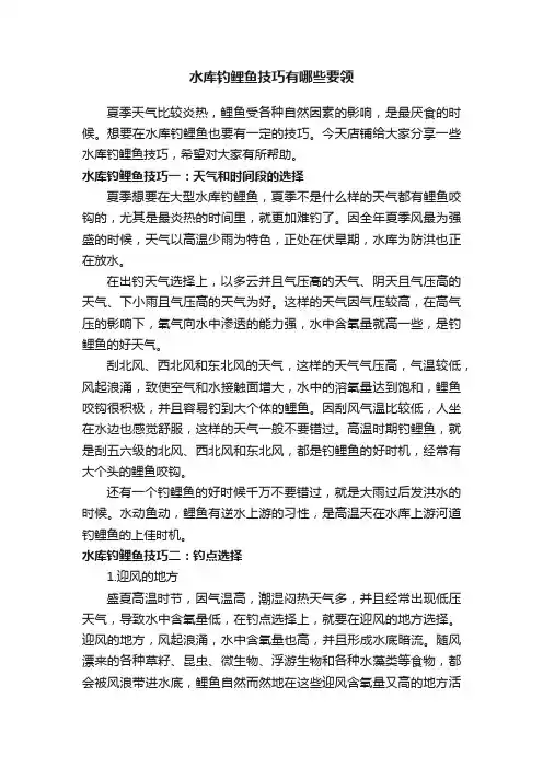 水库钓鲤鱼技巧有哪些要领