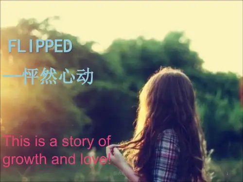 怦然心动英文介绍ppt(1)