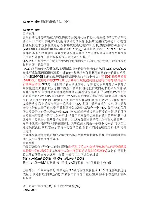 WesternBlot原理和操作方法(全)讲解
