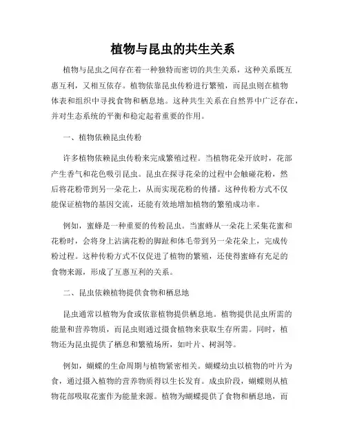 植物与昆虫的共生关系