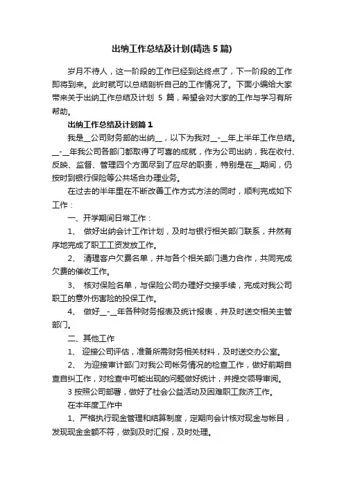 出纳工作总结及计划（精选5篇）