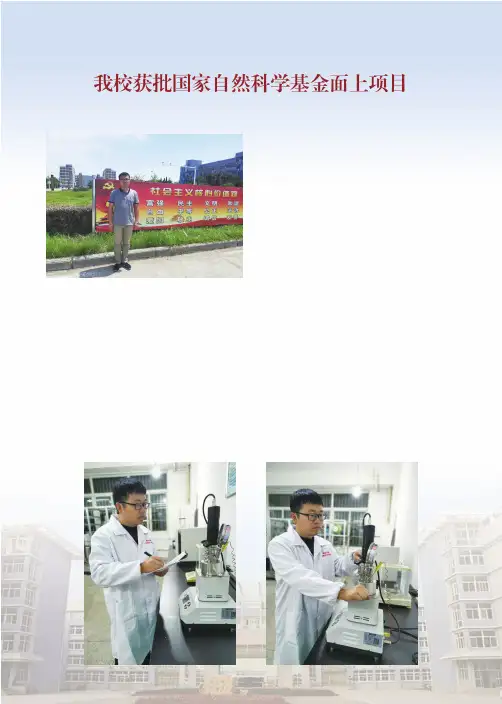 我校获批国家自然科学基金面上项目