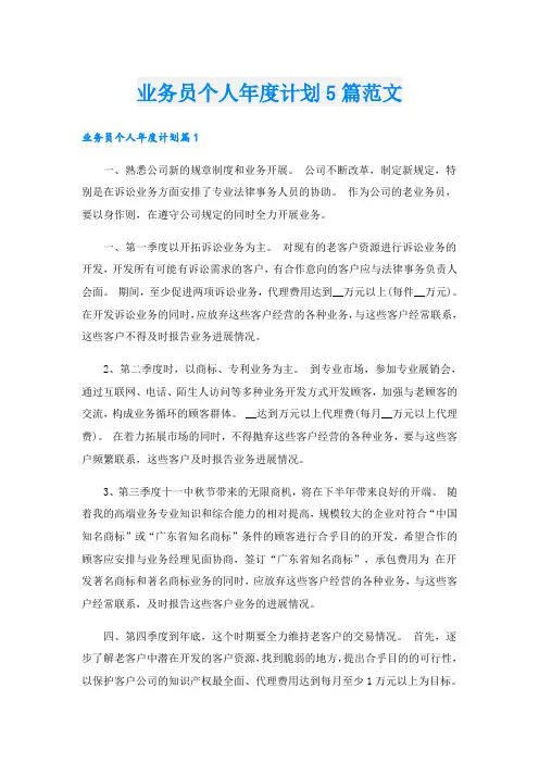 业务员个人年度计划5篇范文