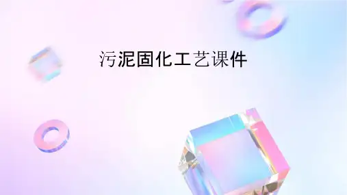 污泥固化工艺课件