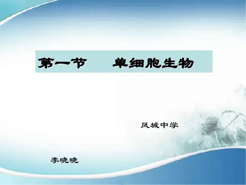 苏教版初中生物七上第2单元第四章第一节《单细胞生物》课件(共27张ppt)(共27张PPT)