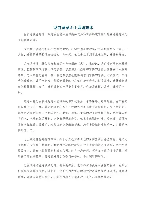 花卉蔬菜无土栽培技术