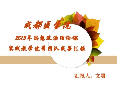 2013年思想政治理论课实践教学优秀团队成果展示
