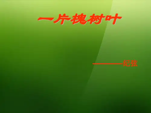 公开课教案教学设计课件语文版初中语文八下《现代诗两首一片槐树叶》PPT课件 (三)