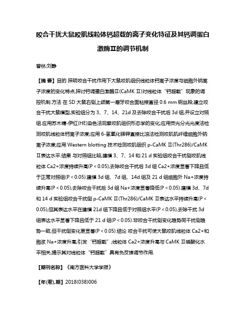咬合干扰大鼠咬肌线粒体钙超载的离子变化特征及其钙调蛋白激酶Ⅱ的调节机制