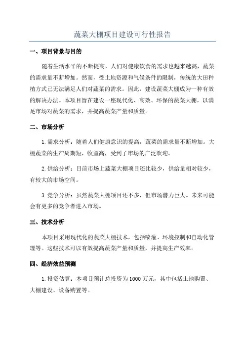 蔬菜大棚项目建设可行性报告