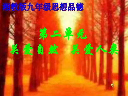 环境污染与破坏ppt课件