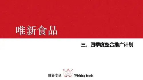 唯新食品品牌构筑改方案-PPT精品文档