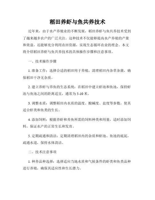 稻田养虾与鱼共养技术