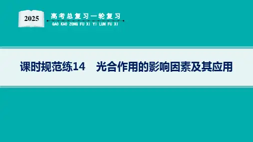 2025高考总复习一轮生物学配人教版(适用于新高考新教材)ppt 第3单元 细胞的代谢 课时规范练1
