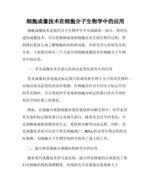 细胞成像技术在细胞分子生物学中的应用