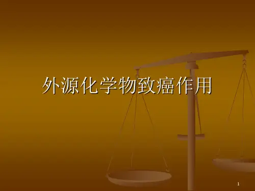 第五章 外源化学物致癌作用