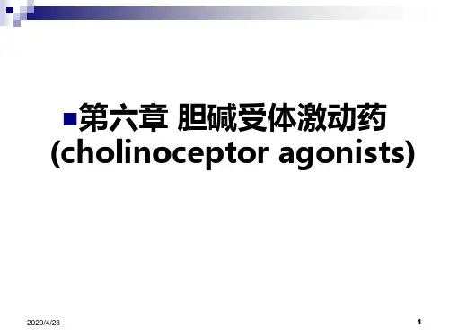 第三章胆碱受体激动药胆碱酯酶药