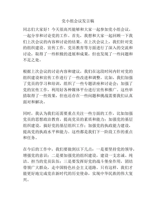 党小组会议发言稿