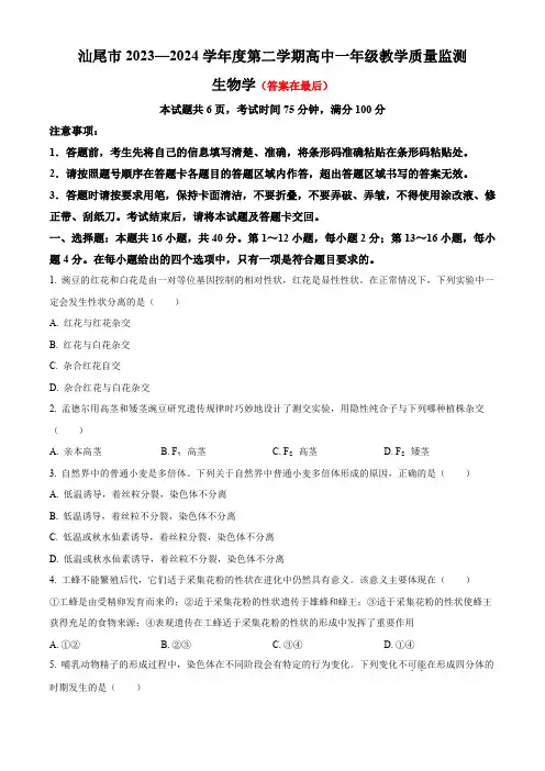 广东省汕尾市2023-2024学年高二下学期7月期末考试 生物含答案