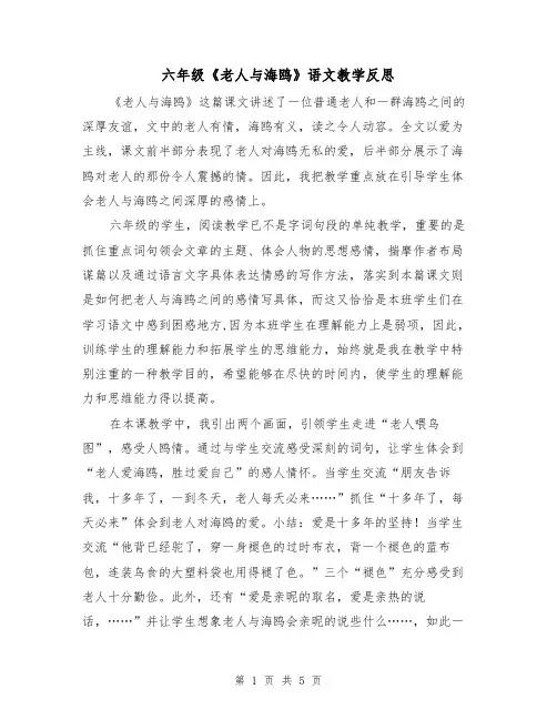 六年级《老人与海鸥》语文教学反思（二篇）