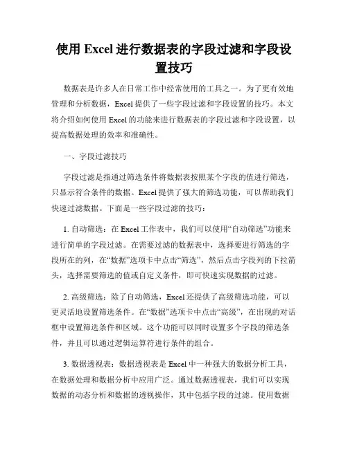 使用Excel进行数据表的字段过滤和字段设置技巧